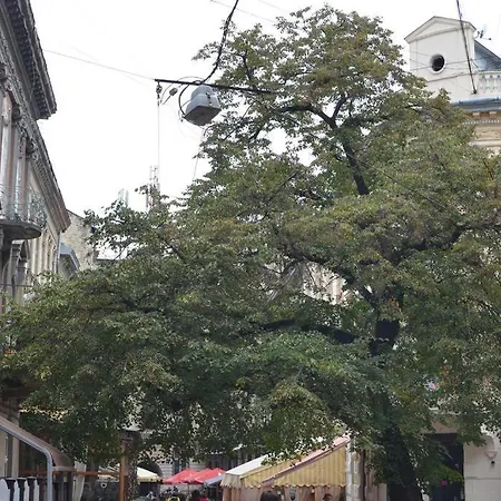 Rooms In The Center Of Lviv Exterior photo