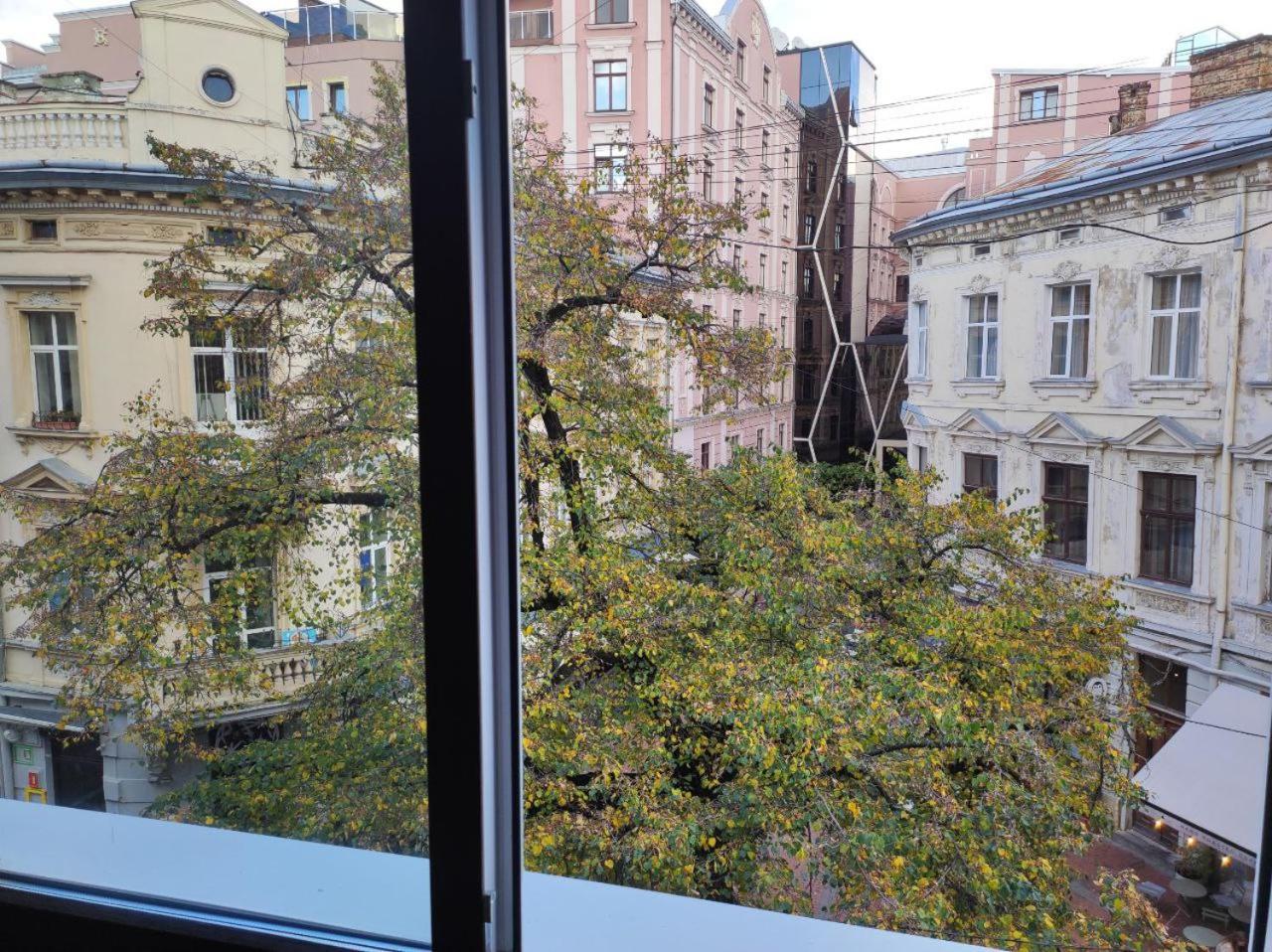 In The Center Of Homestay Lviv